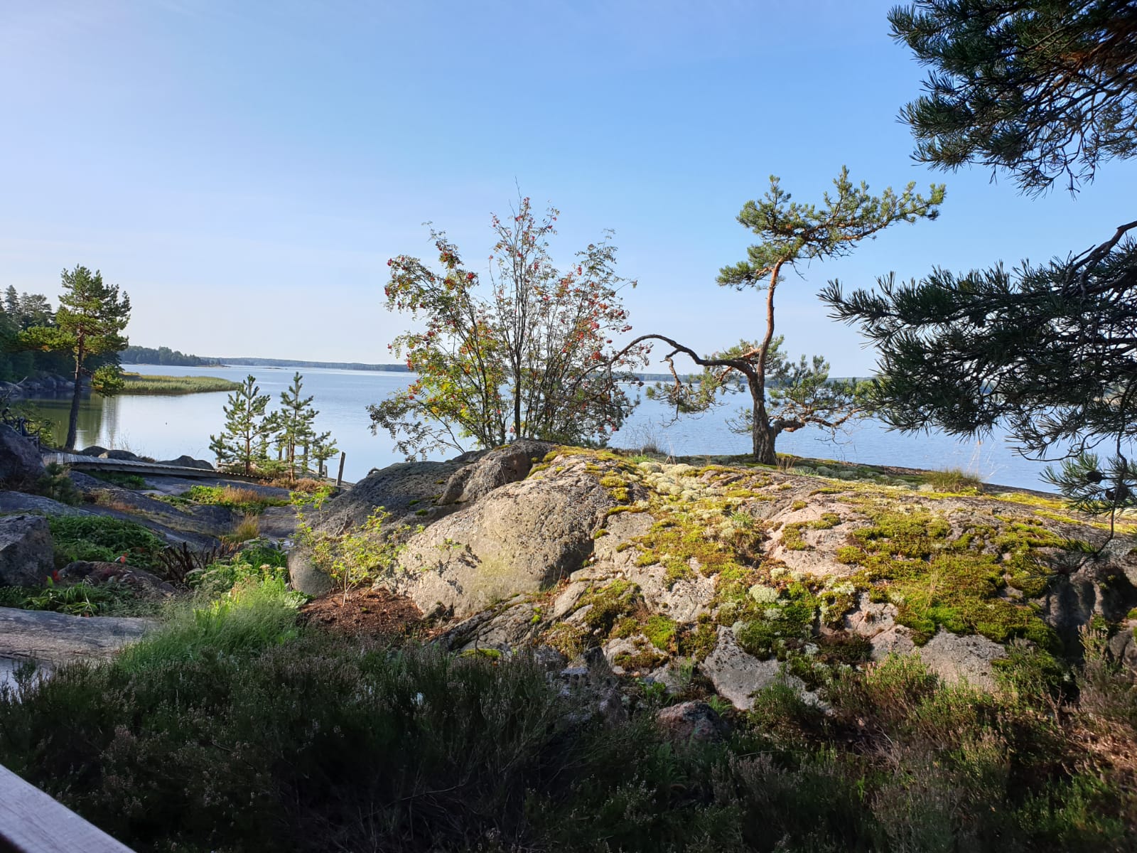 Guided hunting trips Finland Hunting experiences Finland Hunting tours Scandinavia Professional hunting guides Finland Hunting holidays Finland Nordic hunting adventures Hunting tourism Finland