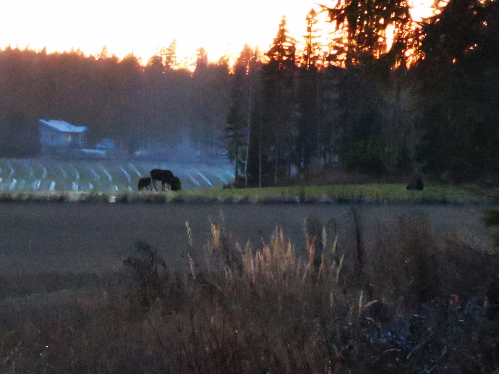 hunting, fishing and nature experiences in Finland