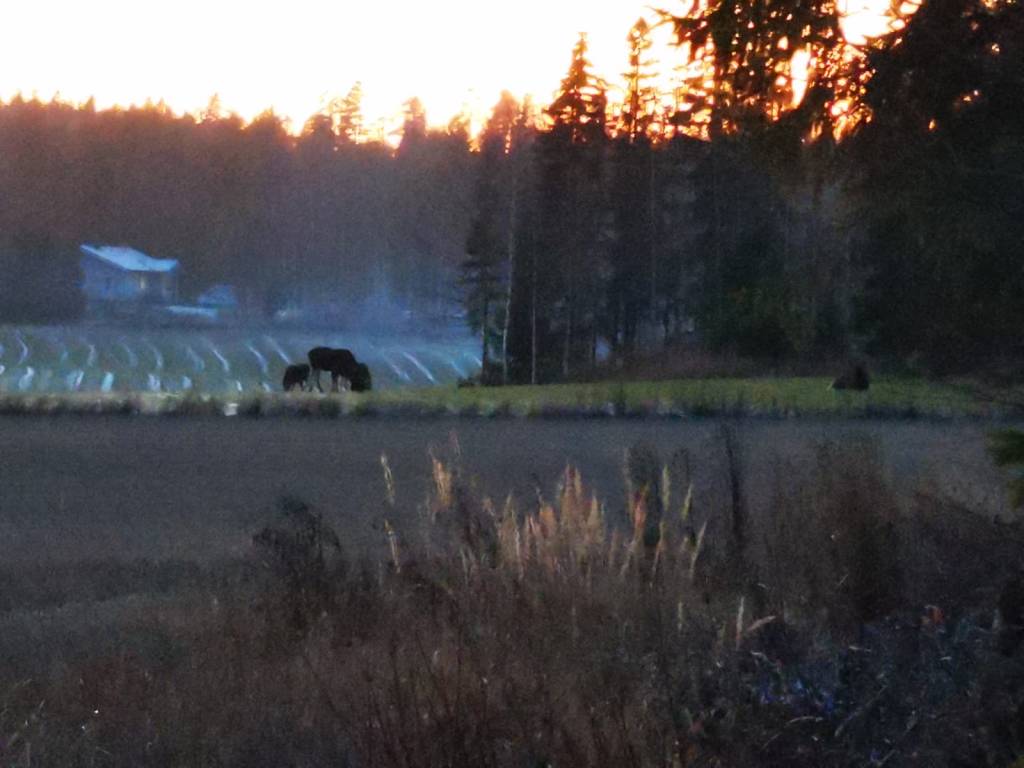 hunting, fishing and nature experiences in Finland