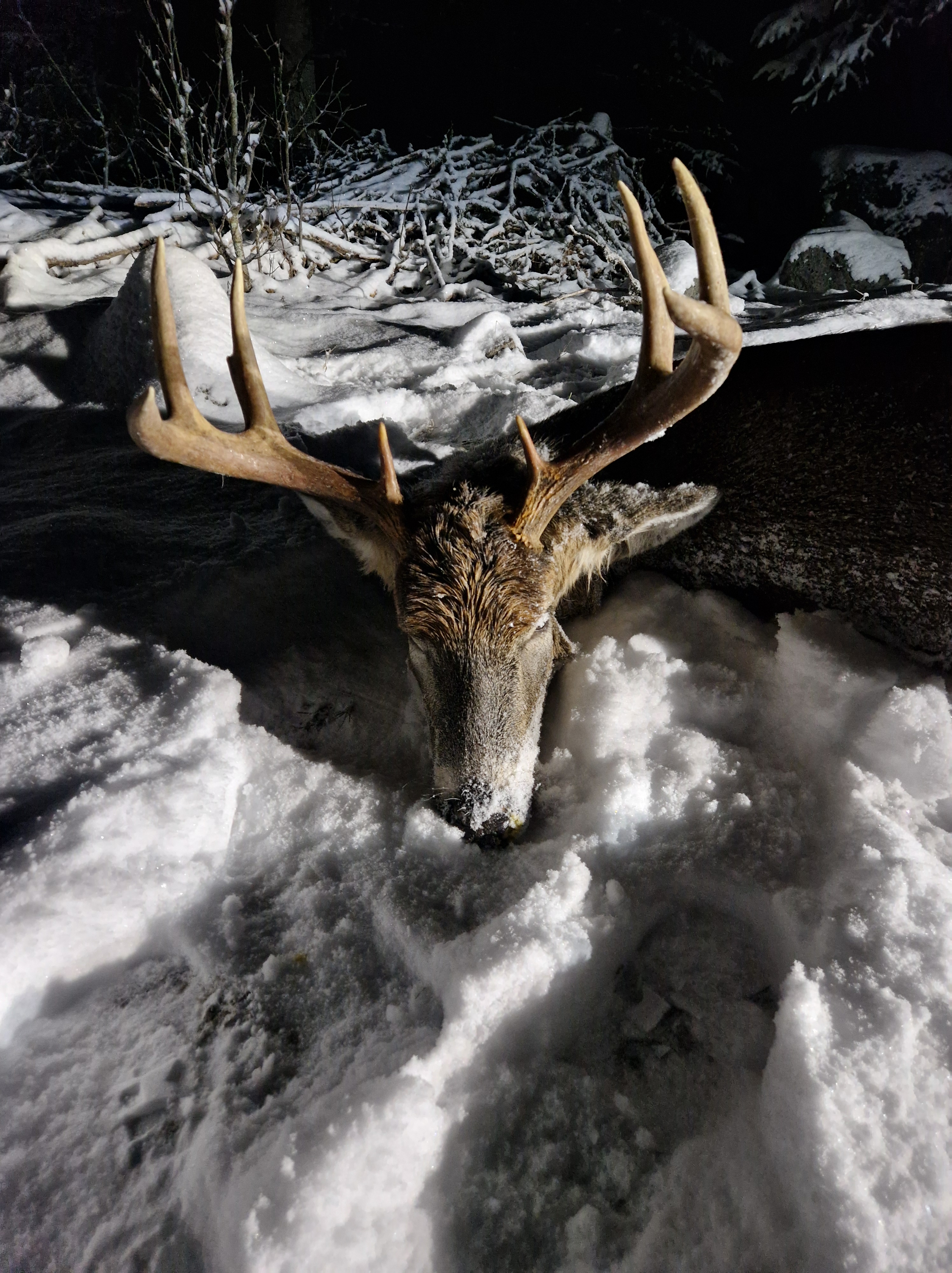 Guided hunting trips Finland Hunting experiences Finland Hunting tours Scandinavia Professional hunting guides Finland Hunting holidays Finland Nordic hunting adventures Hunting tourism Finland